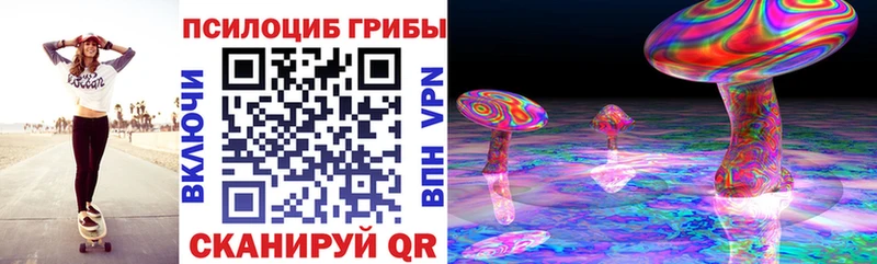 сколько стоит Поронайск Галлюциногенные грибы Psilocybine cubensis